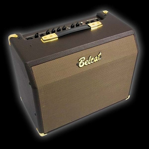 Belcat Acoustic-25C    , 25,   